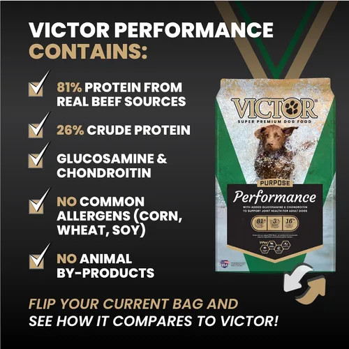 Vista 6 de VICTOR Performance - Alimento seco para perros, carne de res, pollo y cerdo