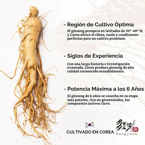 Vista 4 de Ginseng rojo coreano (raíz de 6 años) (ginsenósido mejorado) 120 cápsulas veganas