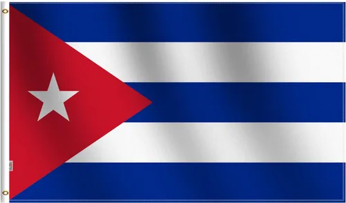 Vista 7 de Bandera argentina de 3 x 5 pies, grande, poliéster 100D en ambos lados para exteriores e interiores moderados, ojales de latón con cabecera de lona