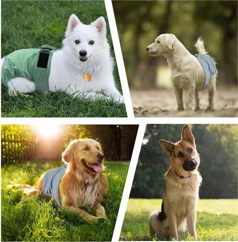 Vista 4 de Pañales Reutilizables para Perras Hembras Paquete de 3, Pañal Lavable para Perritas, Pañal para Perros Altamente Absorbente, Pañales Ajustables a