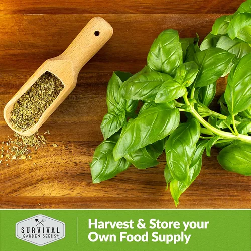 Vista 5 de Mezcla de semillas de albahaca para plantar, mezcla culinaria genovesa de semillas italianas, de limón, lima, ópalo y albahaca tailandesa, hierbas