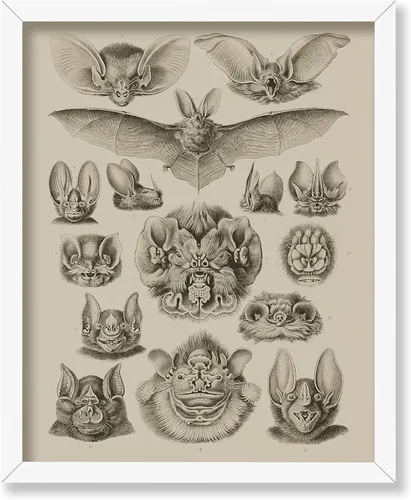 Vista 59 de Poster Master Póster de fotografía vintage, impresión gótica retro, regalo para artista, amigo, Halloween, familia espeluznante, disfraz extraño