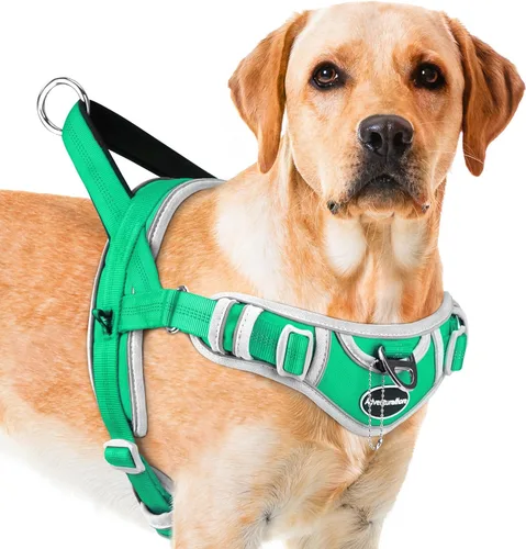 Vista 14 de ADVENTUREMORE Arnés para perro mediano - sin tirones, chaleco reflectante ajustable con asa de clip frontal para entrenamiento y caminata - Negro