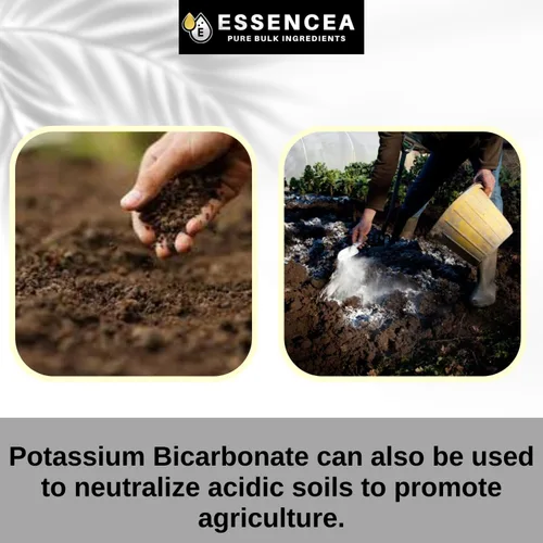 Vista 3 de Bicarbonato de potasio de 2 libras por Essencea Pure Bulk Ingredients Electrolito y levadura Suplemento de potasio puro y sin diluir