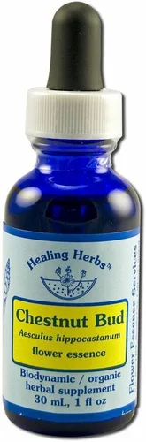Vista 4 de Flower Essence Services Suplementos herbales con cuentagotas Centaury, 1 onza