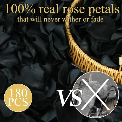 Vista 3 de 200 pétalos de rosa negros reales secos, pétalos de flores preservados de 1.75 onzas para regalos, decoración de fiesta de boda, niña de las flores