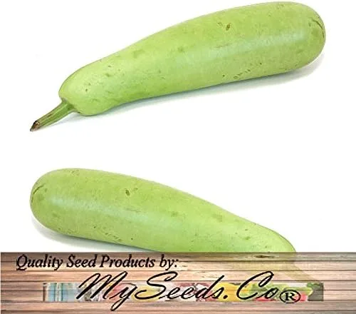 Vista 6 de Paquete grande - Semillas sin transgénicos de MySeeds.Co