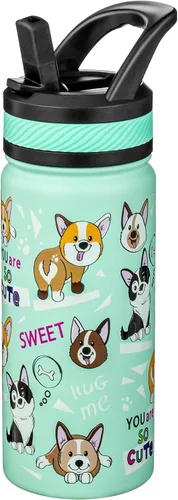 Vista 21 de Fanhaw Botella de Agua Aislada para Niños de 18 Oz con Tapa de Pajita – Acero Inoxidable de Doble Pared al Vacío, A Prueba de Fugas, Botellas