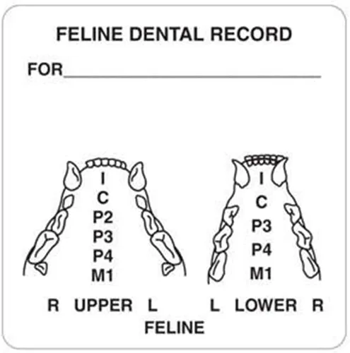 Vista 9 de Examen físico canino veterinario, Doctor Stuff Veterinarian Stickers, 2-1/2" x 2-1/2", Blanco, 240/Roll, Tabbies Vet V-AN315