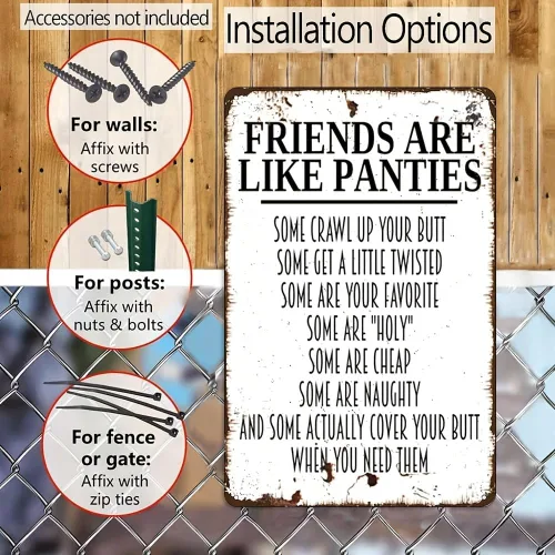 Vista 4 de Letrero de Metal con Frase Graciosa sobre Bragas 8x12 - 'Friends Are Like Panties' Arte Humorístico de Pared para Baño - Letrero de Hierro Blanco