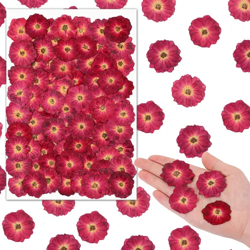 Vista 7 de Woanger 100 piezas de flores secas prensadas pequeñas flores secas de resina natural real, relleno de recortes para manualidades de resina