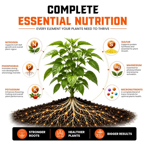 Vista 3 de Strive Fertilizer Part A Package – Nutrientes hidropónicos generales Veg + Bloom – Alimento vegetal de primera calidad para interiores, exteriores