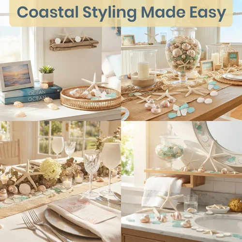 Vista 5 de Conchas de mar – Conchas de playa mezcladas reales con estrellas de mar y cristal de mar (paquete de 5) – Conchas para manualidades – Decoración