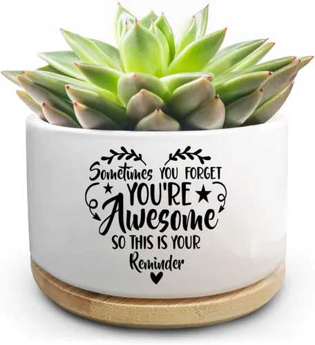 Vista 13 de Maceta Divertida para Plantas Suculentas, Maceta Pequeña para Plantas de Interior, Lindas Macetas de Cerámica para Cactus con Drenaje, Decoración