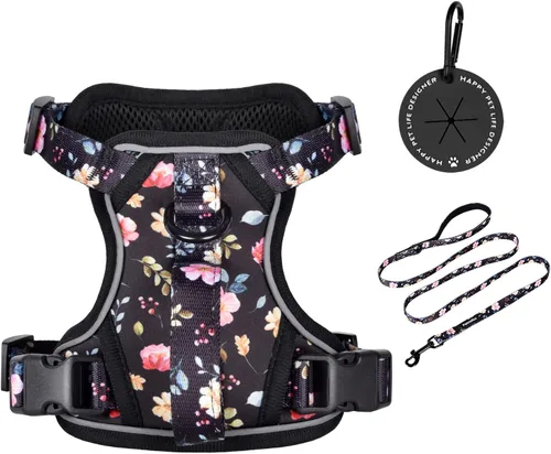 Vista 11 de Petmolico Arnés para perros pequeños, bonito arnés con dos clips para correa y mango suave, chaleco reflectante para cachorros fácil de caminar