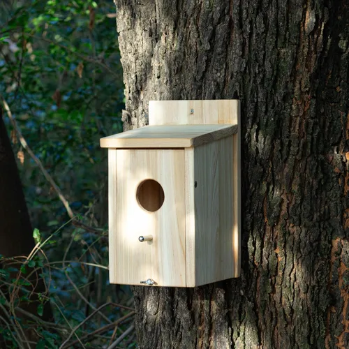 Vista 2 de Casas de madera para pájaros para pajareras exteriores, nido Bluebird House para cardenales, pinzón, Wren, golondrina, para ver el jardín, 1A #