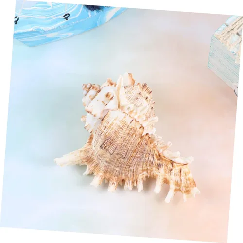 Vista 3 de FOMIYES Conch Ornament for Aquarium Natural Landscape Accessory 10-11cm Fish Tank Decoration Shell Ornament
