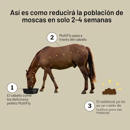 Vista 3 de Formula 707 MultiFly - Pellets de control de mosca para caballos - Reducción de población de moscas sabrosas y seguras
