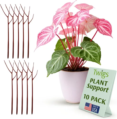 Vista 13 de Estacas de soporte para plantas para uso en interiores y exteriores, alternativa duradera de enrejado para plantas trepadoras y en maceta