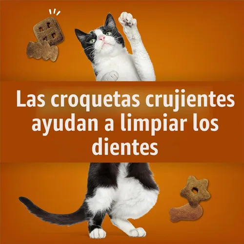 Vista 4 de Purina Friskies Golosinas para Gatos, Party Mix Chicken Lovers Crunch - Bolsa de 20 Oz