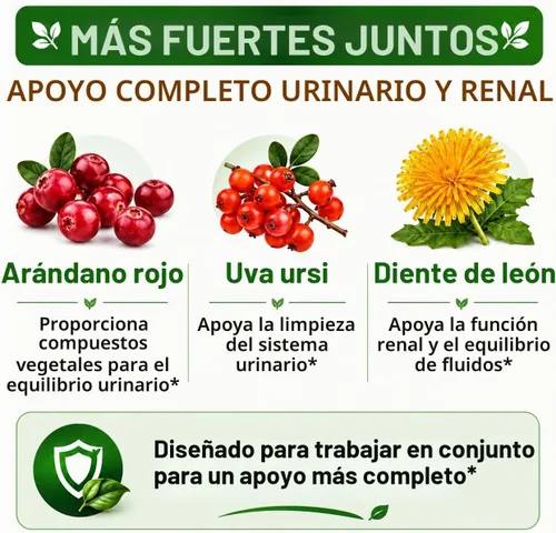 Vista 4 de Cápsulas de extracto de arándano 50:1 concentrado de fruta entera, con diente de león y Uva Ursi, fórmula herbaria de alta potencia, soporte