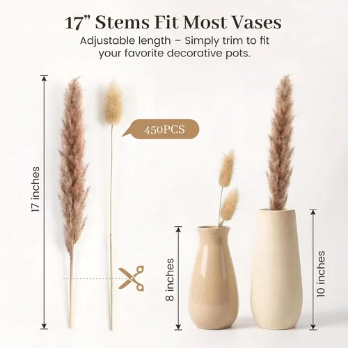 Vista 7 de 450 piezas de decoración de hierba de pampa seca natural