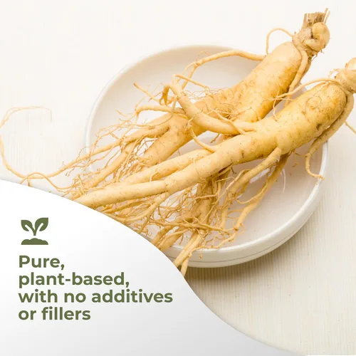 Vista 5 de Gade Nutrition Panax - Extracto de ginseng en polvo, sin OMG, sin gluten, sin lácteos y vegano, 8.82 oz (8.8 onzas) 1000 mg por porción, 250