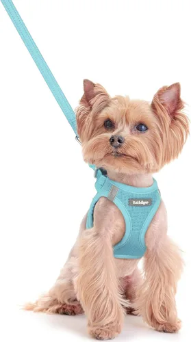 Vista 49 de rabbitgoo Arnés para perro de tamaño pequeño y juego de correa, chaleco Cachorros de manzana
