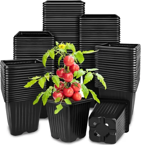 Vista 8 de Paquete de 24 macetas de plástico cuadradas de 3 pulgadas de varios colores, contenedor de trasplante de vivero para plántulas, macetas