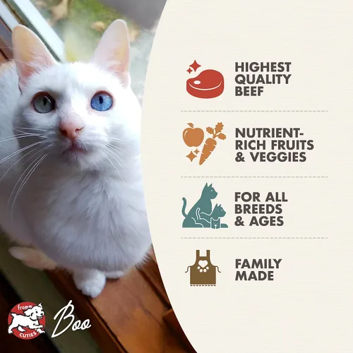 Vista 3 de Comida seca premium para gatos Fromm Four-Star Nutritionals con receta de carne de res Livattini Veg - 4 libras