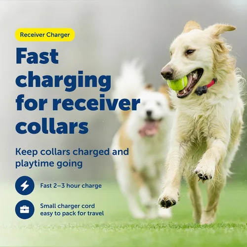 Vista 2 de PetSafe Cargador receptor – Cable de carga rápida – Cable de carga USB para valla inalámbrica y sistemas de valla en tierra – Compatible