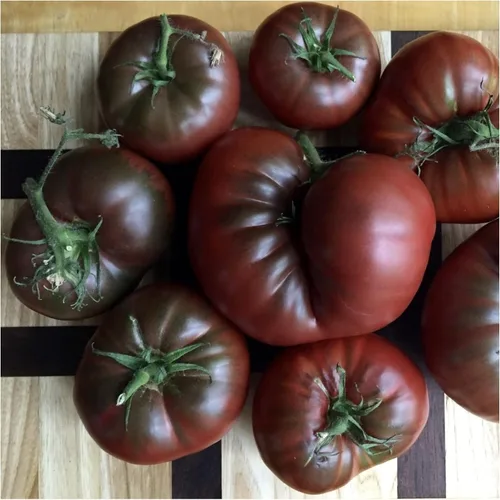 Vista 2 de Seed Needs, Black Krim Semillas de tomate – 80 semillas tradicionales o plantación Solanum lycopersicum – Variedad indeterminada sin OMG y sin
