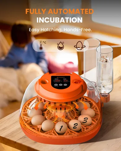 Vista 2 de Incubadora de 12 huevos con giro automático y control de humedad, incubadoras completamente automáticas con vela de huevos, kit educativo