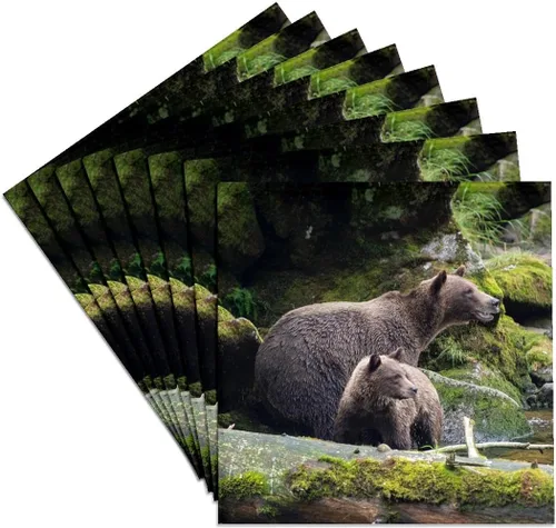 Vista 7 de 3dRose Brown Bear cub Staying Close to mom at ANAN Creek. Set of 4 Coasters - Cork