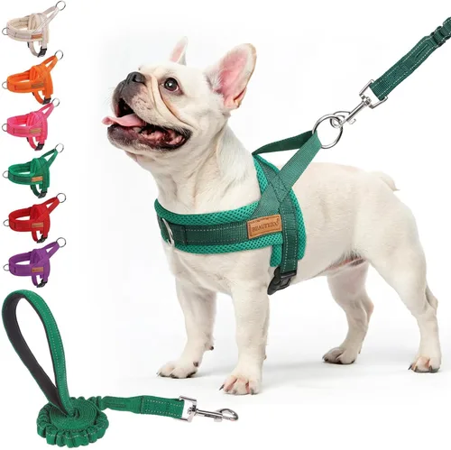 Vista 58 de BEAUTYZOO Arnés para Perros Pequeños, Juego de Arnés y Correa sin Tirones, Arnés de Pecho para Cachorros a Prueba de Escapes con Mango, Arnés Beige