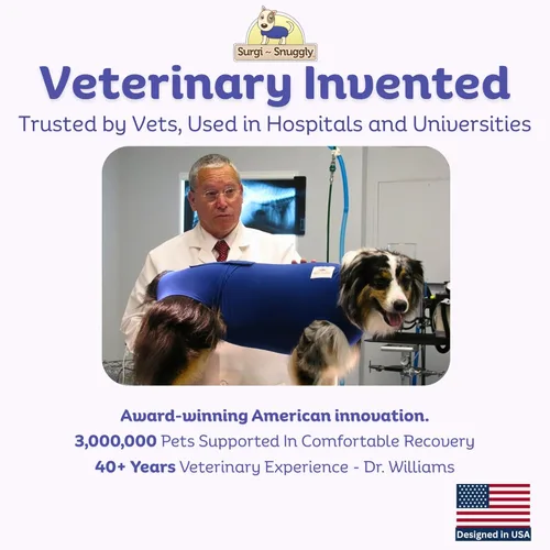 Vista 4 de SurgiSnuggly Traje de Recuperación Quirúrgica Inventado por Veterinarios para Perros Hembra o Macho, Esterilización, Castración, Mameluco, El Traje