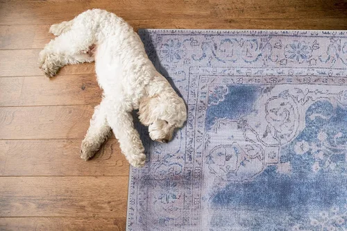 Vista 195 de GLN Rugs Traditional Collection - Alfombra de felpilla lavable a máquina, tradicional lavable, antideslizante, alfombra de felpilla de pelo corto