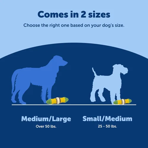 Vista 5 de PetSafe Busy Buddy Cravin Corncob - Juguete para masticar, sin BPA, con aroma a mantequilla de goma, rompecabezas interactivo para mascotas