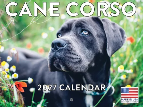 Vista 143 de Calendario mensual de pared Airedale Terrier Dog 2027 rojo (Airedale Terrier)