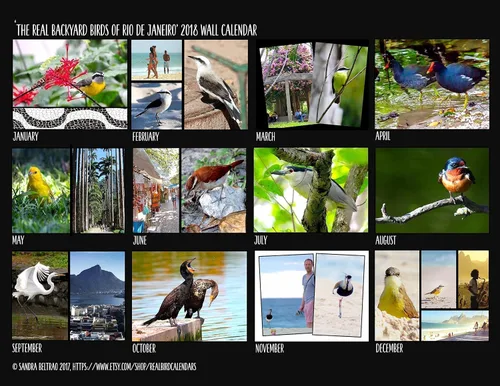 Vista 7 de 2018 Wall Calendar (The Real Backyard Birds of Rio de Janeiro)