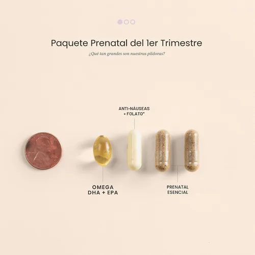 Vista 7 de Perelel Paquete prenatal del primer trimestre, multivitamínico con folato, vitamina D, Omega 3, hierro y jengibre, apoyo nutricional