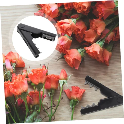 Vista 5 de Herramienta peladora de espinas de hojas, removedor de espinas, herramienta profesional para podar árboles, herramientas manuales para arreglos