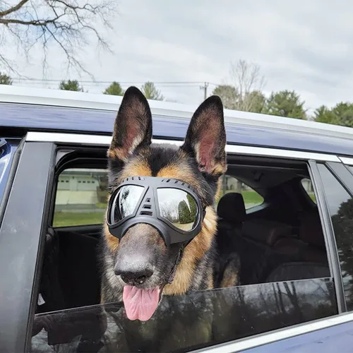 Vista 4 de NAMSAN Paquete de casco y gafas para perro, negro, grande, protección UV, ventilado, cierre de hebilla