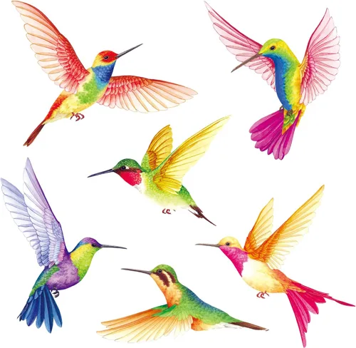 Vista 2 de BASHOM DS2-4002 - Calcomanías de pared de colibríes, para niños, desprendibles para guardería, dormitorio, sala de estar, murales de arte