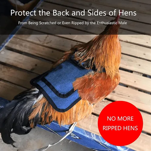 Vista 3 de Sillines de pollo de alta calidad de 3 piezas con correa elástica, ropa de suéter para soltero, protector de pájaros para espalda y lados