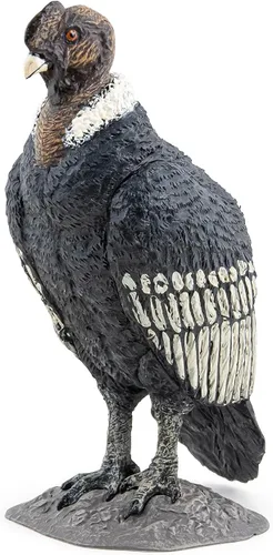 Vista 3 de Papo - Figura realista de cóndor - A partir de 3 años - Colección Wild Life - Juego educativo de aves de presa - Juguete de idea de regalo