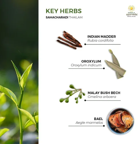 Vista 5 de Kerala Ayurveda Sahacharadi Thailam - 6.76 onzas líquidas Aceite corporal de masaje a base de hierbas Aceite de apoyo de espalda baja y piernas