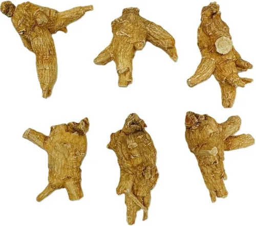 Vista 4 de Seleccionado a mano de ginseng americano de grado A grande, redondo, tamaño jumbo (caja de 4 onzas)