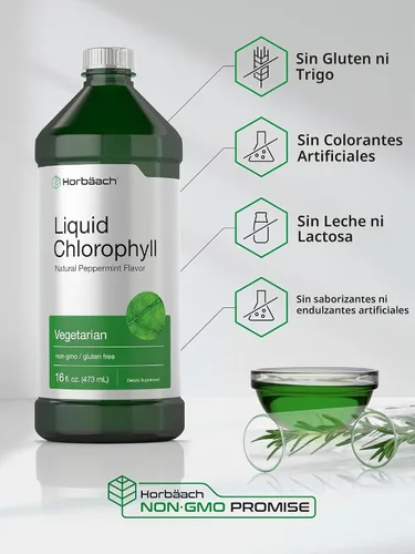 Vista 5 de Horbäach Gotas líquidas de clorofila 100 mg 32 oz (2 botellas de 16 onzas) Gotas naturales con sabor a menta Suplemento vegetariano, sin OMG