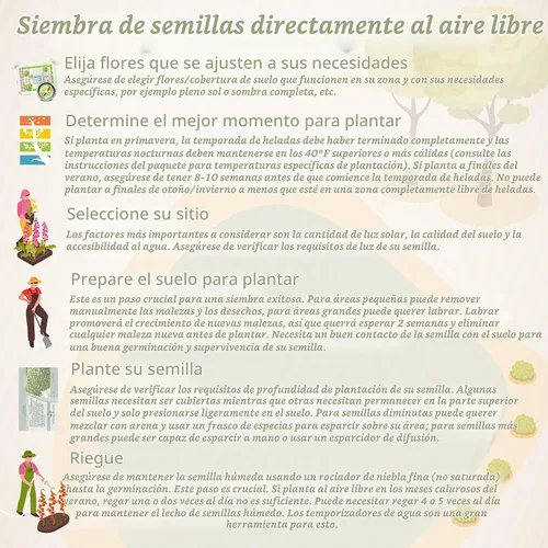 Vista 9 de Outsidepride 100 semillas perennes Delosperma Cooperi Ice Plant Table Mountain Ground Cover Seeds para plantar